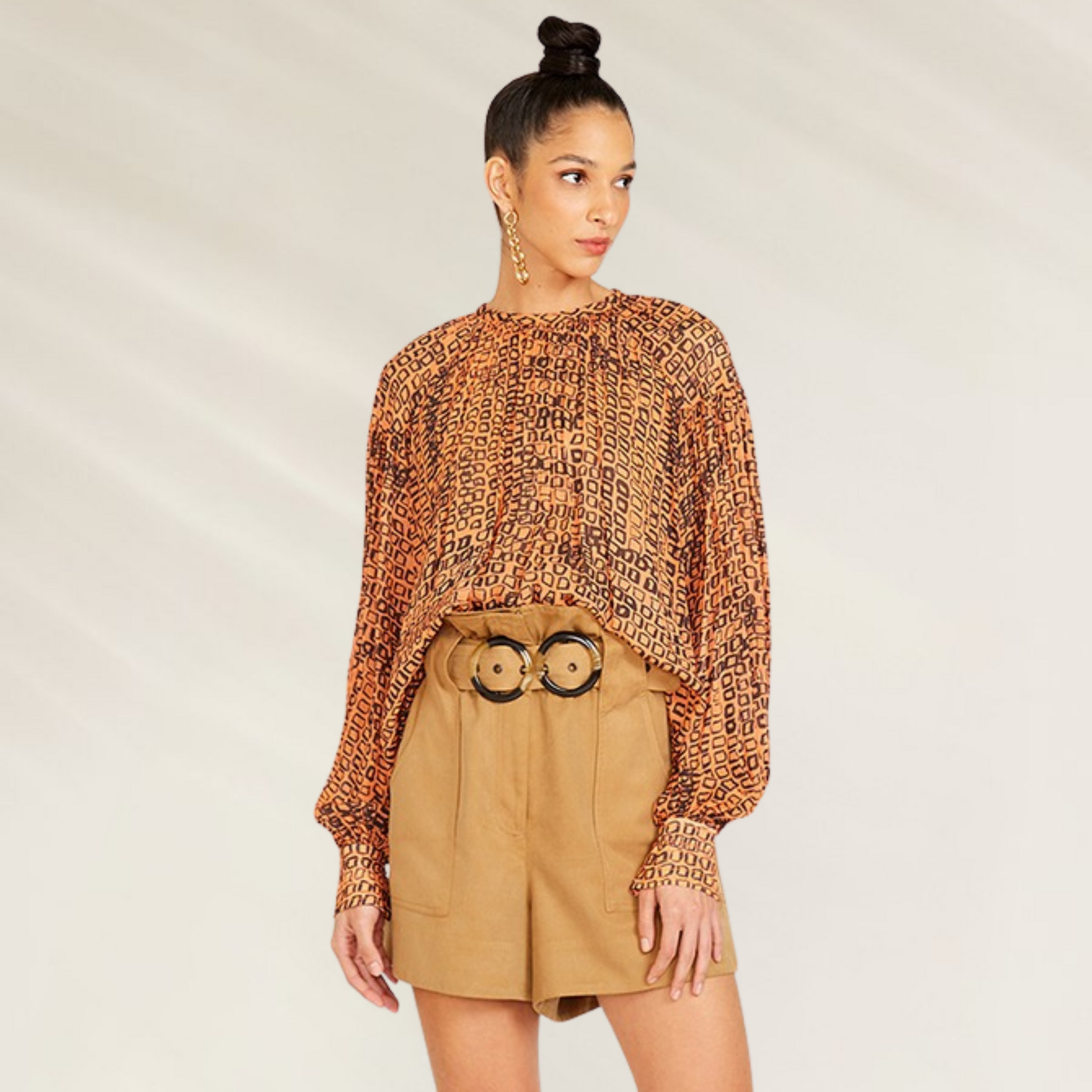 Blusa Feminina Estampada em Viscose Semi-Transparente – Animale Brasil com estampa geométrica e mangas longas